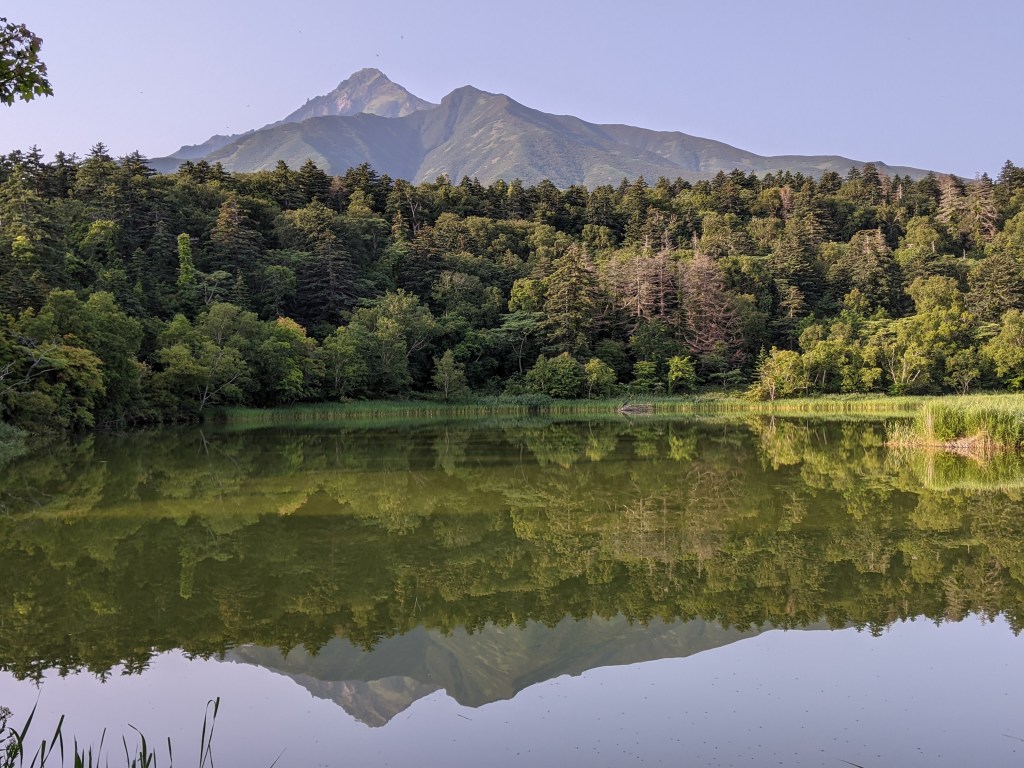 そもそも、なぜ学び直しを始めたのか