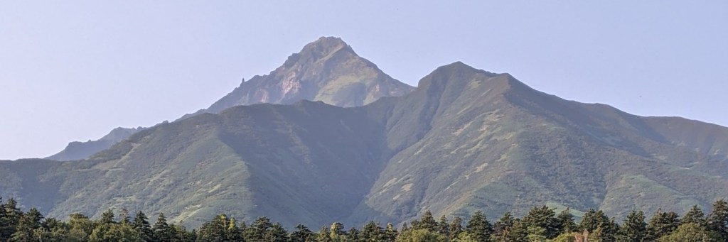 大晦日に振り返る、アラフィフの学び直し一年